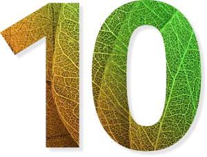 ten-years