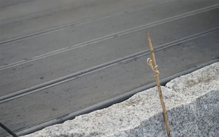 WPC-Terrassendielen-Wartungsfrei