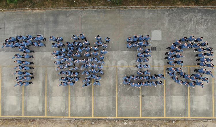 Techwoodn 10 Jahre 1