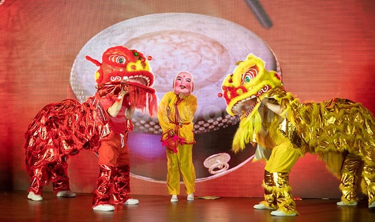 Techwoodn 10 Jahre 3