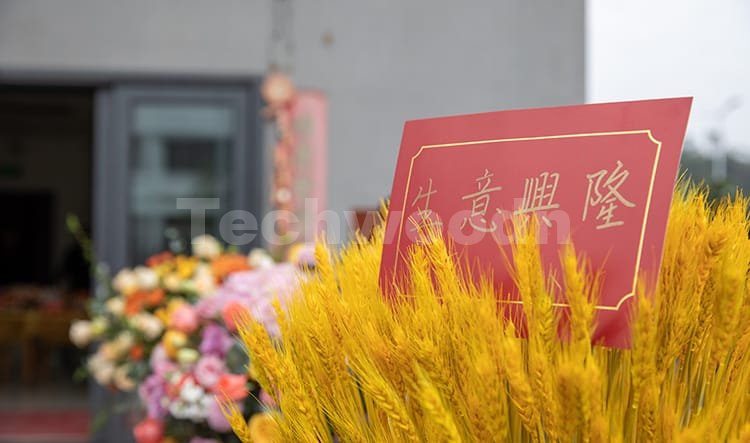 Techwoodn 10 Jahre 4