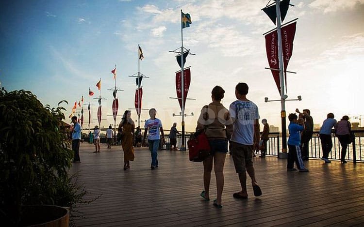 沿岸 WPC デッキ ロード