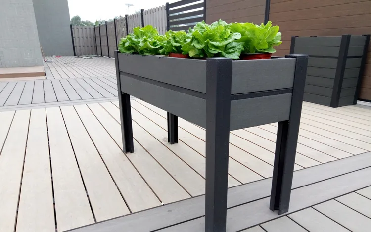 Jardinières surélevées pour plates-bandes