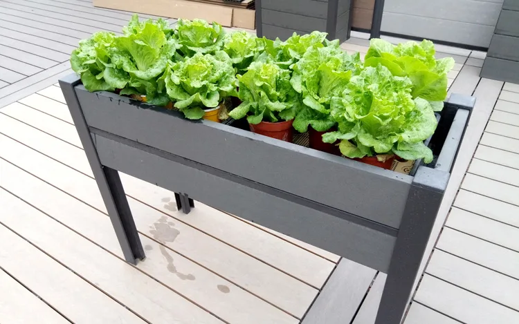 Jardineras de WPC para hortalizas